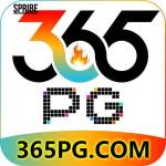 365pg 365pg Profile Picture