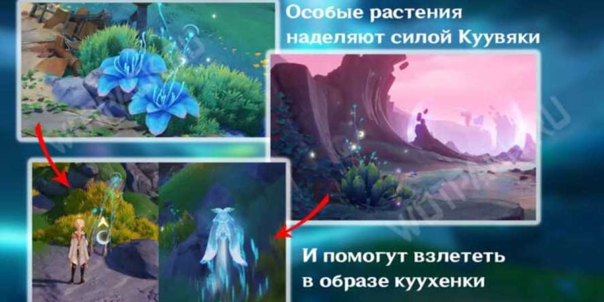 Article Picture