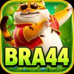 bra44 bra44 Profile Picture