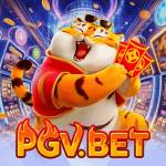 pgvbet pgvbet Profile Picture