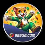 365gg 365gg Profile Picture