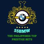 55bmw 55bmw Profile Picture