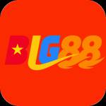 big88 big88 Profile Picture