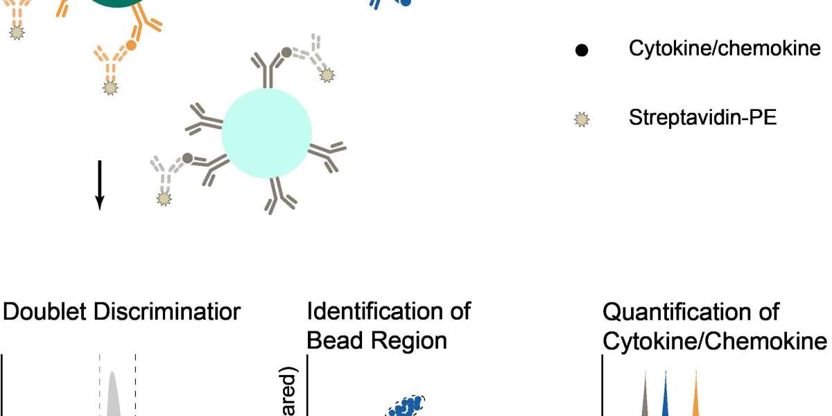 Custom Services for High-Throughput Multiplex Cytokine Detection