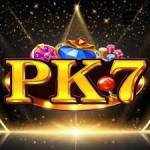 pk7 pk7 Profile Picture