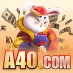 a40 a40 Profile Picture
