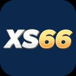 xs66 xs66 Profile Picture